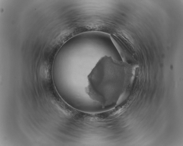 X0000090490408200707131332