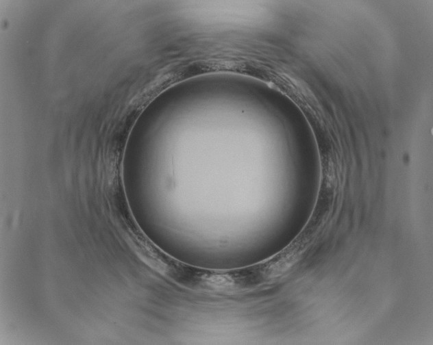 X0000090490409200707131332