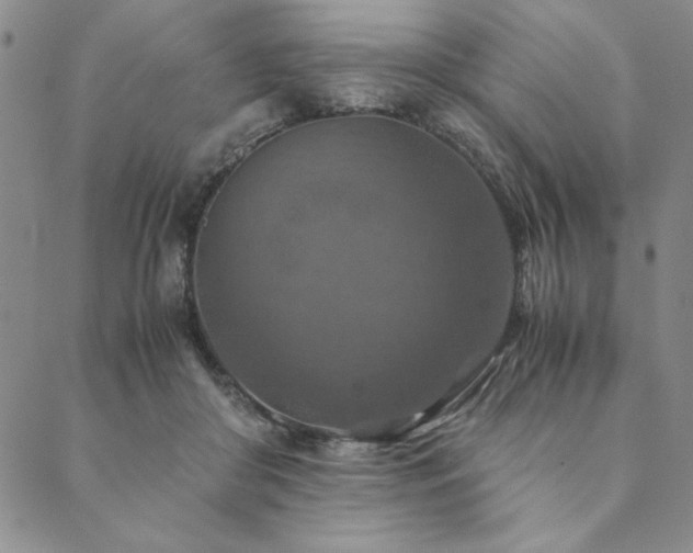 X0000090490410200707131332