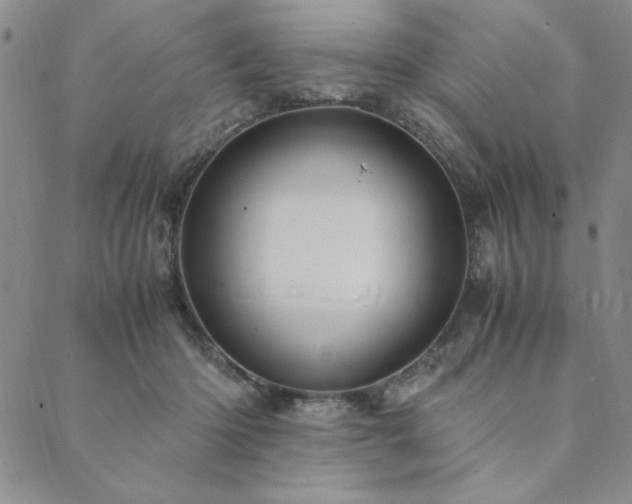 X0000090490414200707131332