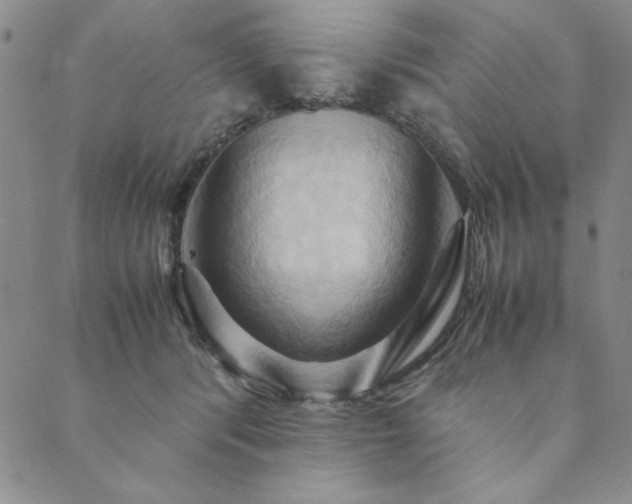 X0000090490416200707131332