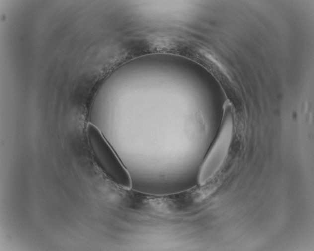 X0000090490417200707131332