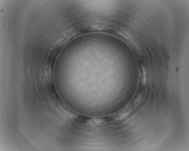 X0000090490418200707131332