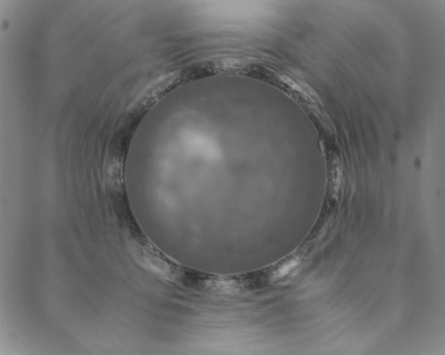 X0000090490419200707131332