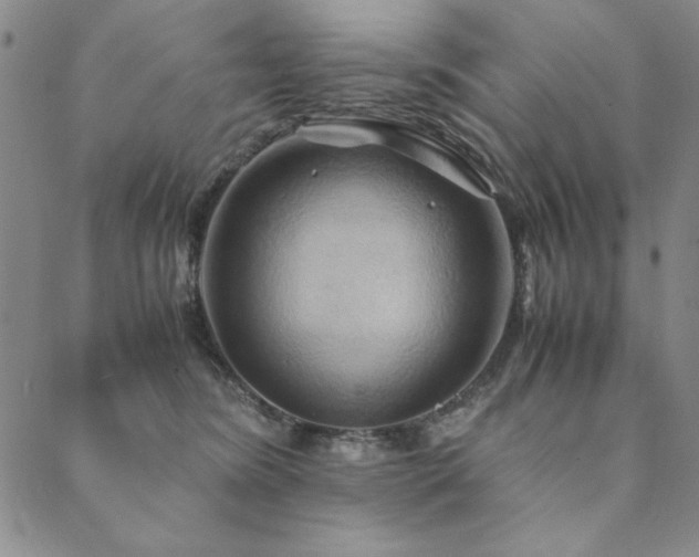 X0000090490420200707131332