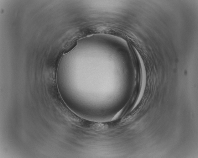 X0000090490421200707131332