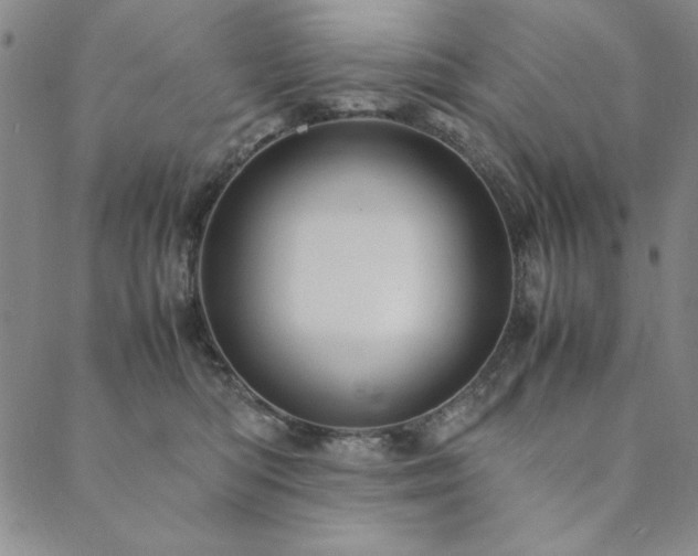 X0000090490422200707131332