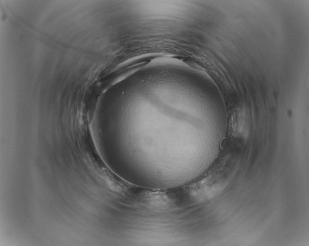 X0000090490424200707131332