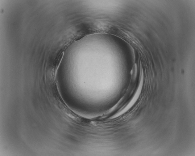 X0000090490425200707131332
