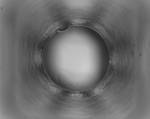 X0000090490426200707131332