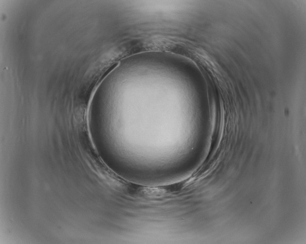 X0000090490429200707131332
