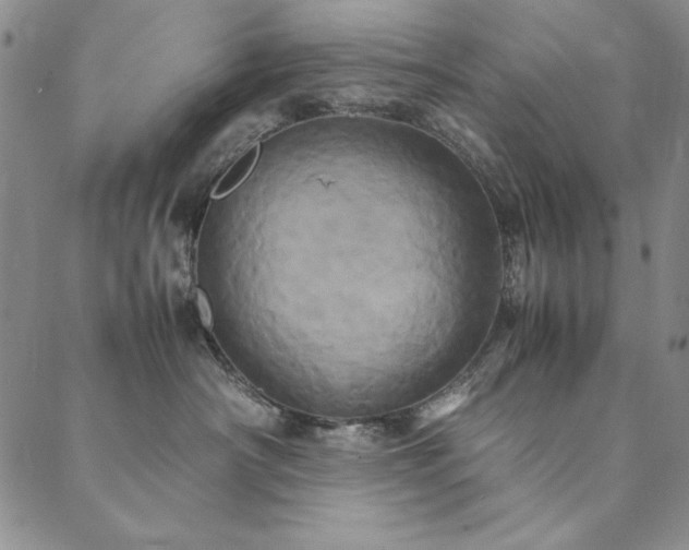 X0000090490430200707131332