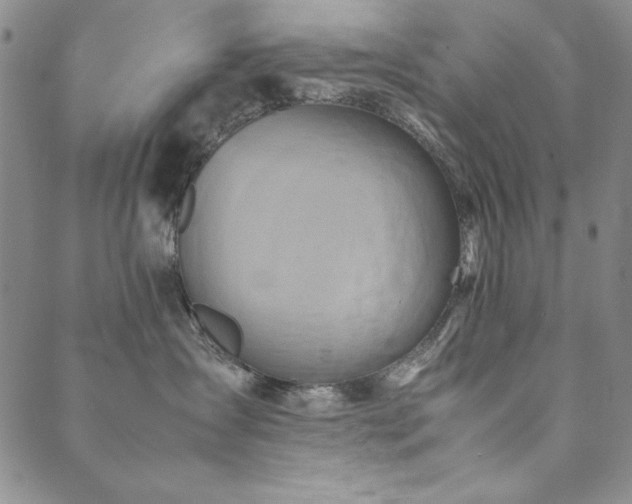 X0000090490431200707131332