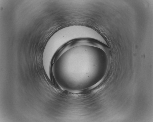 X0000090490432200707131332