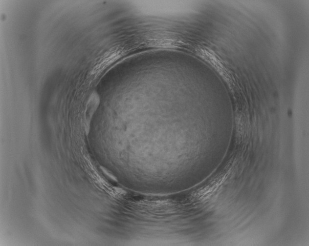 X0000090490433200707131331