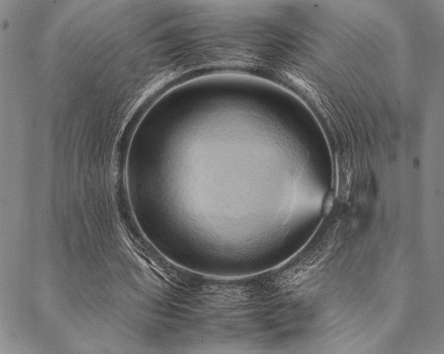 X0000090490435200707131331