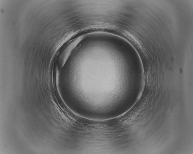 X0000090490436200707131331