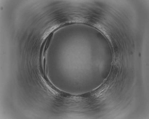 X0000090490437200707131331