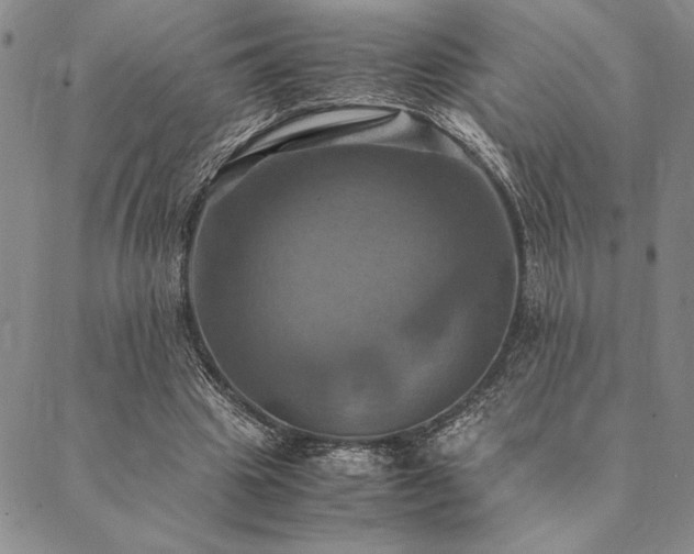 X0000090490441200707131331