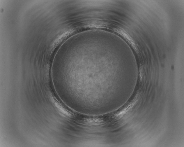 X0000090490445200707131331