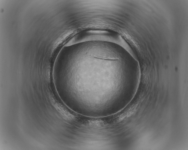 X0000090490446200707131331