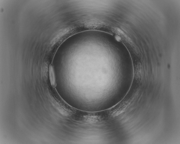 X0000090490448200707131331