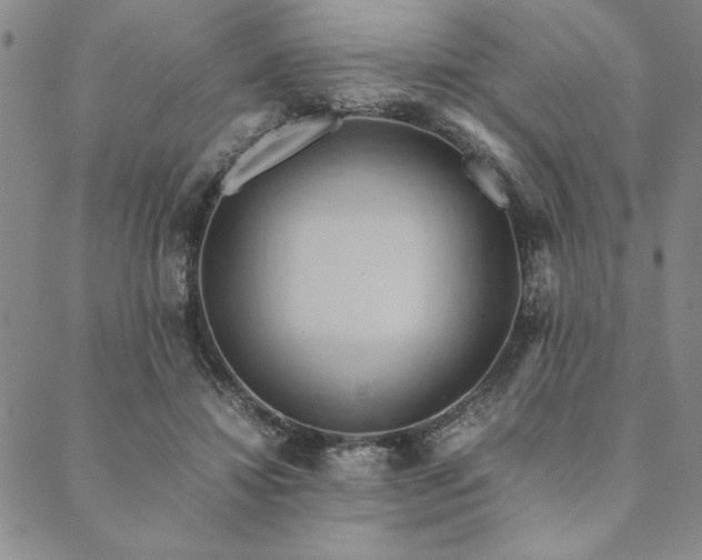 X0000090490452200707131331