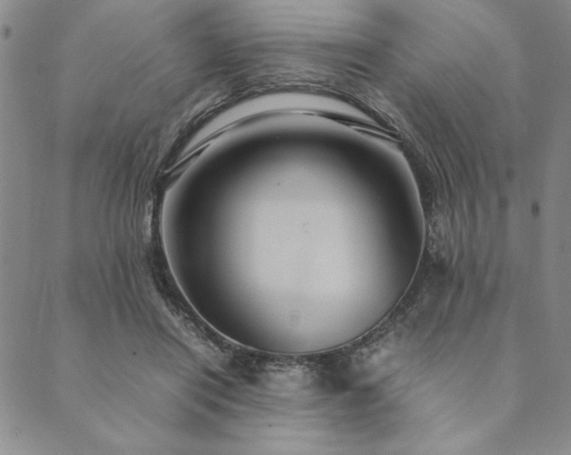 X0000090490454200707131331