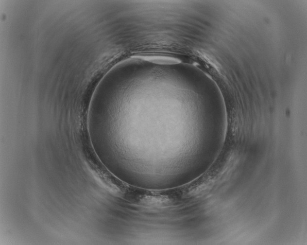 X0000090490455200707131331