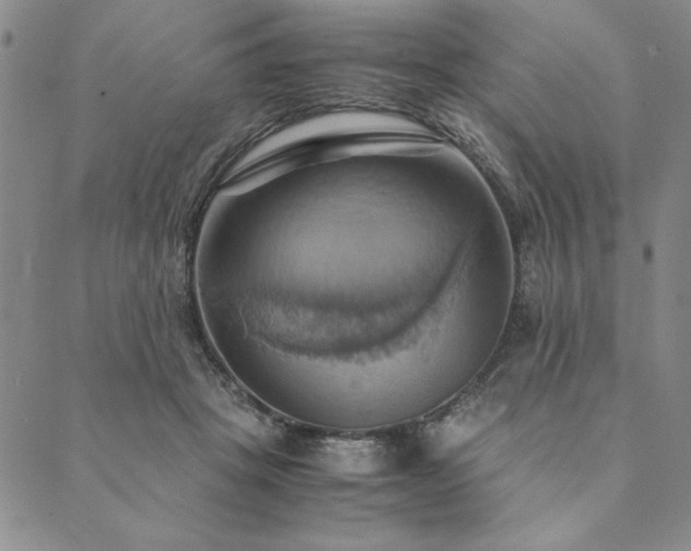 X0000090490457200707131331