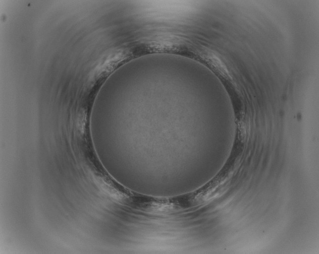 X0000090490458200707131331