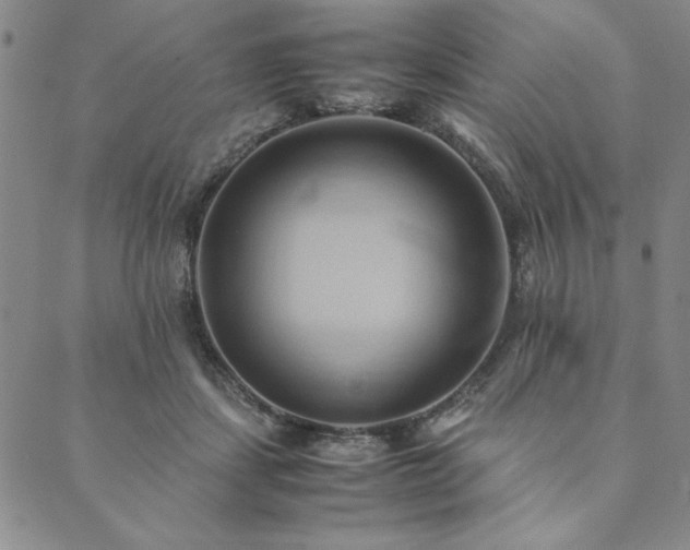X0000090490459200707131331