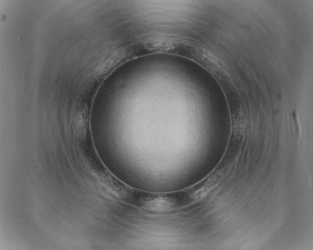 X0000090490460200707131331