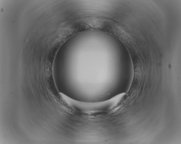 X0000090490464200707131331
