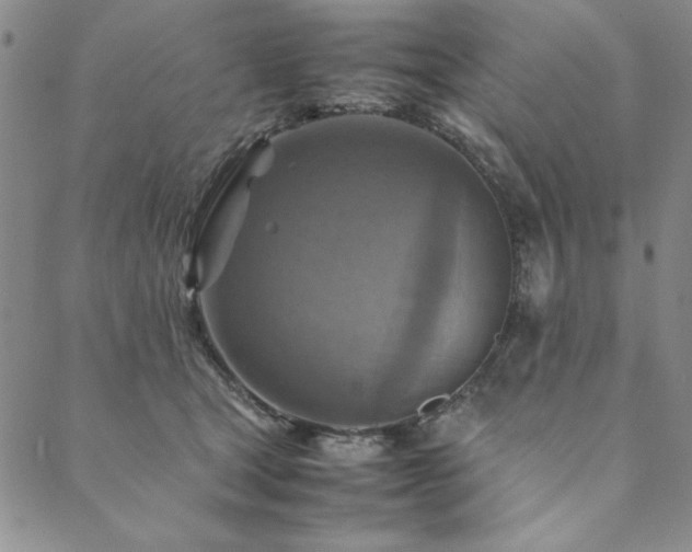 X0000090490465200707131331
