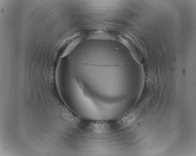 X0000090490466200707131331