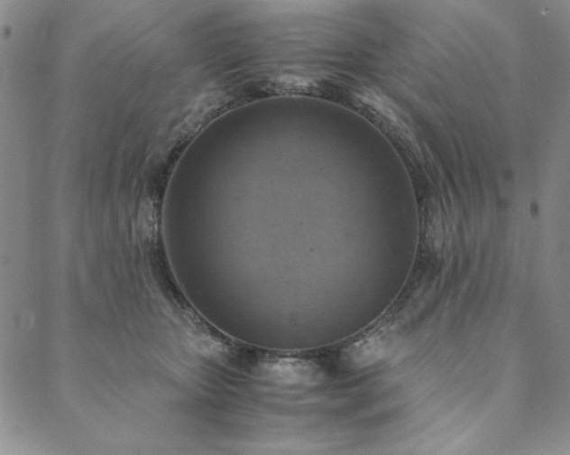 X0000090490467200707131331