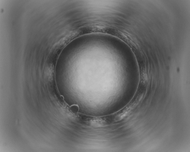 X0000090490468200707131332
