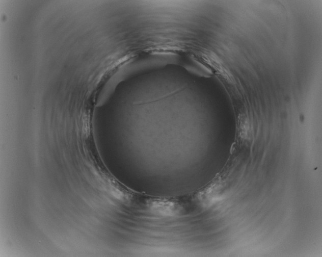 X0000090490471200707131332