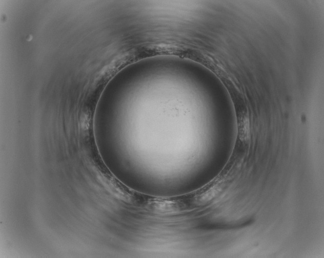 X0000090490472200707131332