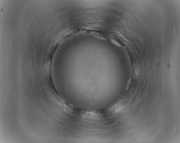 X0000090490475200707131332