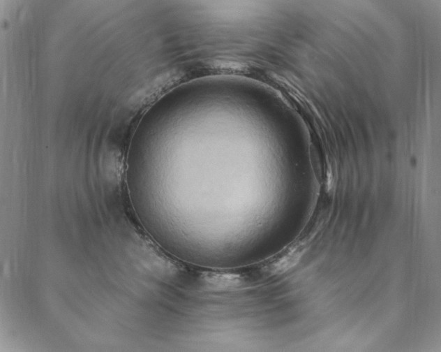 X0000090490476200707131332