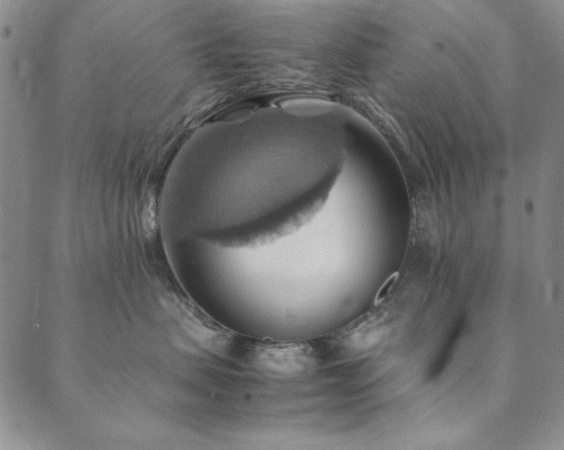 X0000090490479200707131332