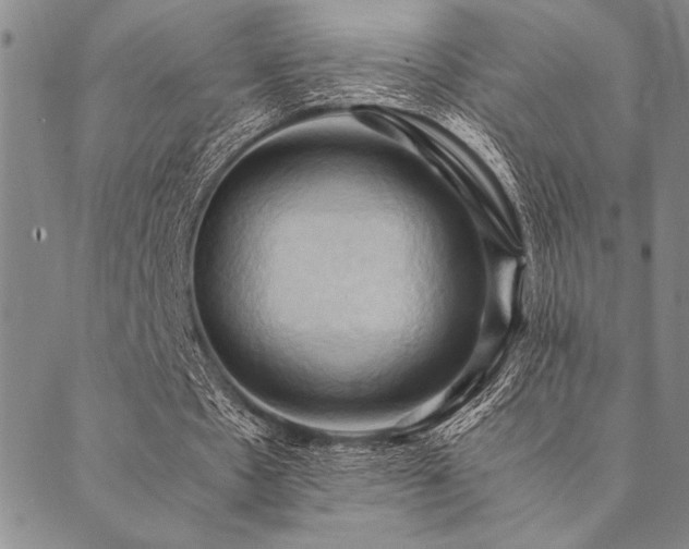 X0000090490481200707131331