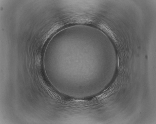 X0000090490483200707131331