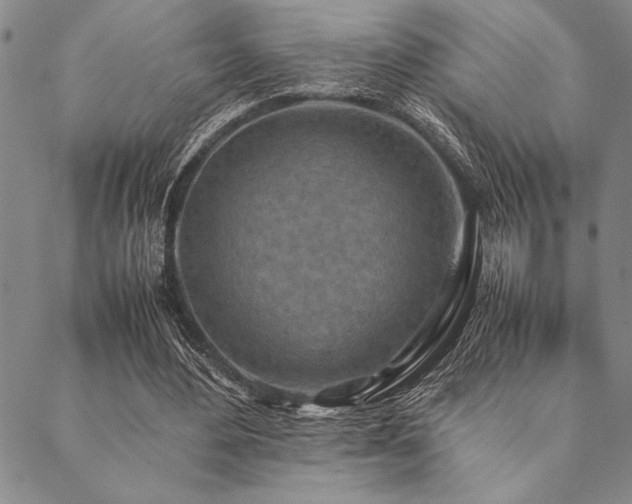 X0000090490484200707131331
