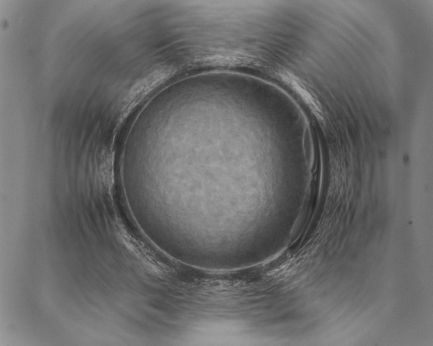 X0000090490486200707131331
