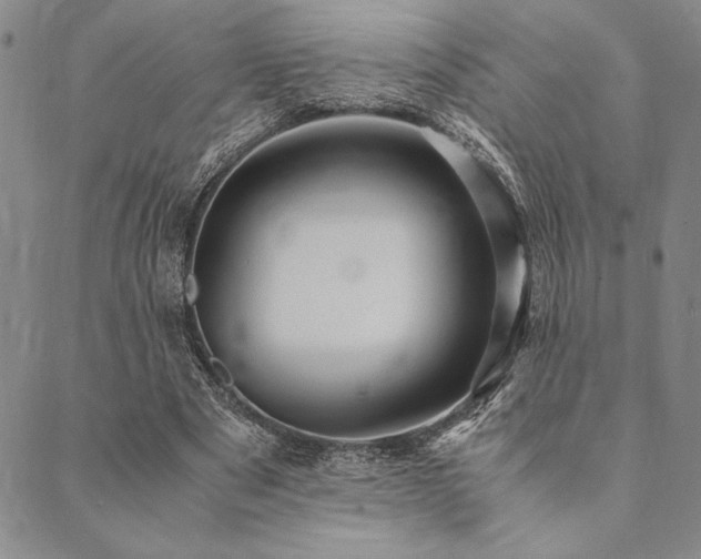 X0000090490489200707131331