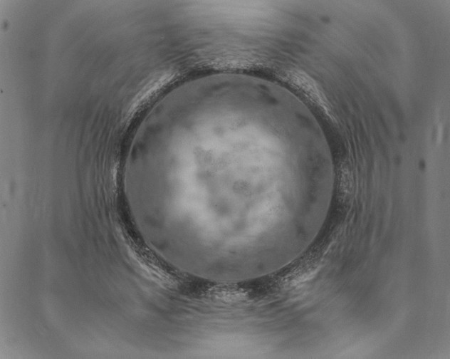 X0000090490491200707131331