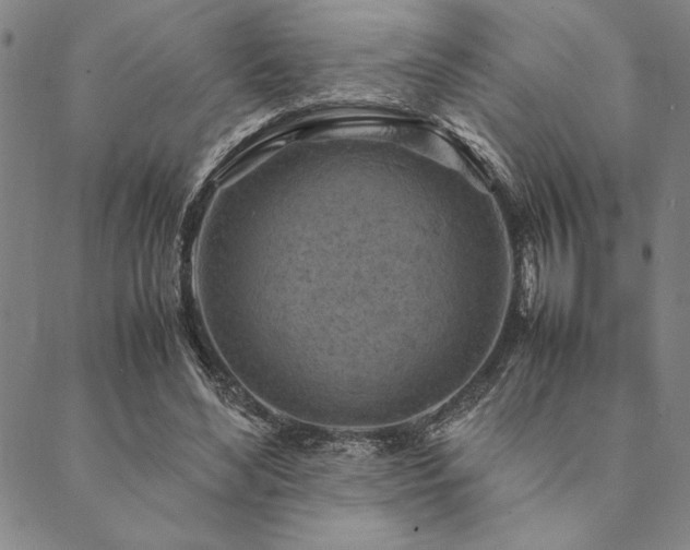 X0000090490492200707131331